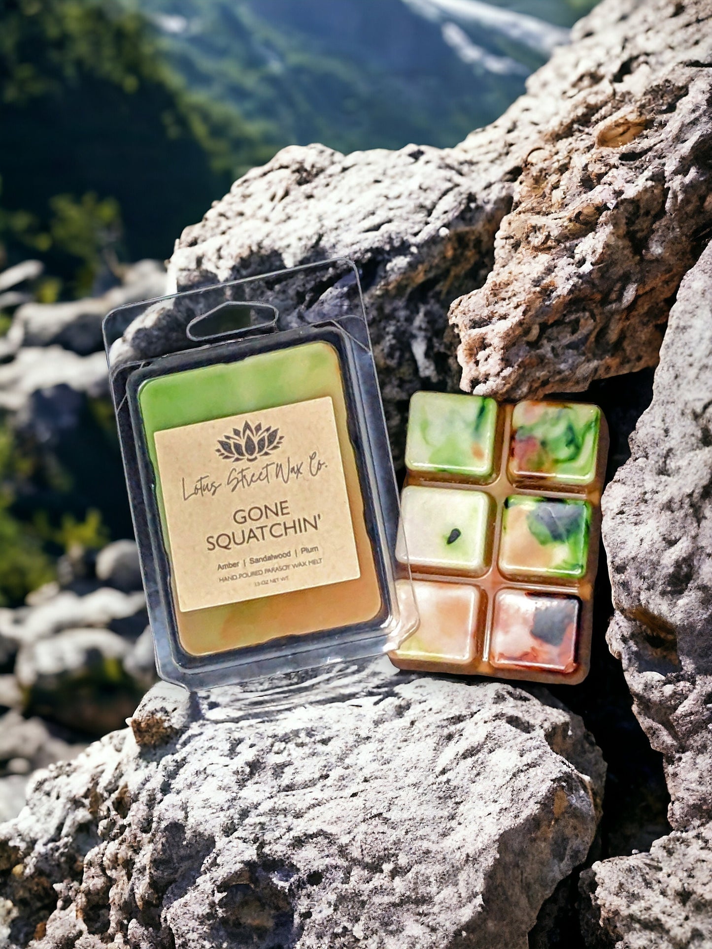Gone Squatchin' Wax Melt, Sandalwood Plum Scent